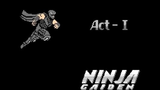 Ninja Gaiden: Dragon Scroll screenshot