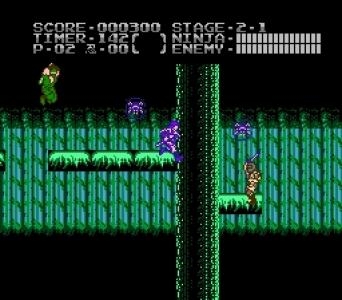 Ninja Gaiden: Dragon Scroll screenshot