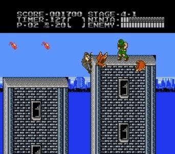Ninja Gaiden: Dragon Scroll screenshot