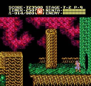 Ninja Gaiden II: The Dark Sword of Chaos screenshot