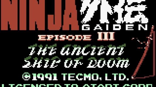 Ninja Gaiden III: Ancient Ship of Doom screenshot