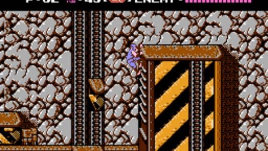 Ninja Gaiden screenshot