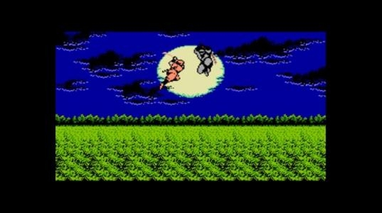 Ninja Gaiden screenshot