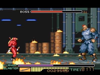 Ninja Warriors screenshot