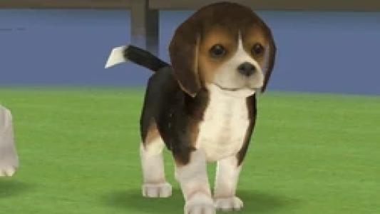 Nintendogs: Best Friends screenshot