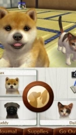 Nintendogs + Cats: French Bulldog & New Friends screenshot