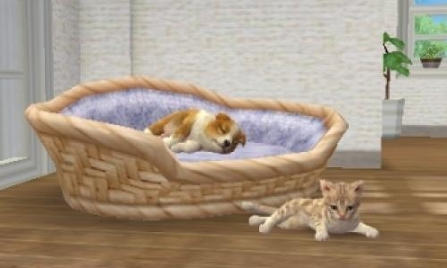 Nintendogs + Cats: French Bulldog & New Friends screenshot