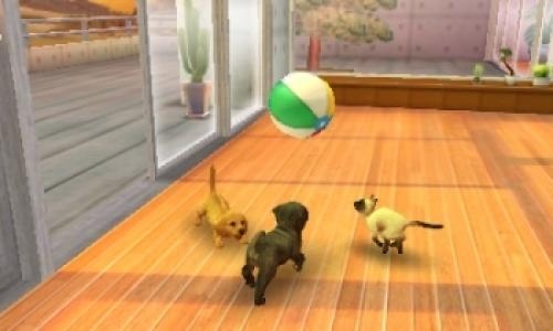 Nintendogs + Cats: French Bulldog & New Friends screenshot