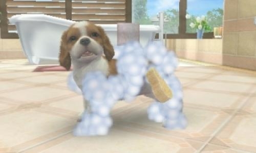 Nintendogs + Cats: French Bulldog & New Friends screenshot