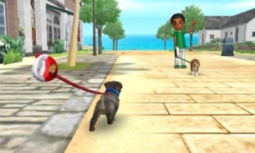 Nintendogs + Cats: French Bulldog & New Friends screenshot