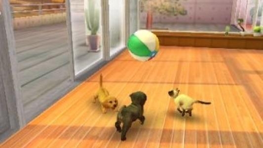 Nintendogs + Cats: Golden Retriever & New Friends screenshot