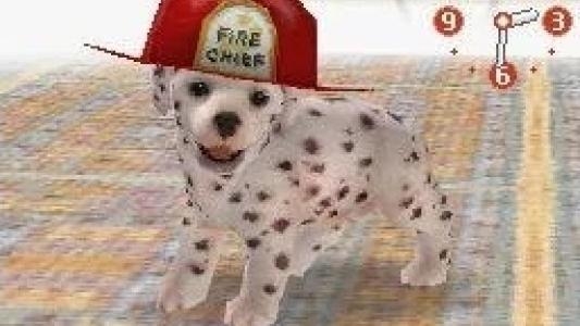 Nintendogs: Dalmatian & Friends screenshot