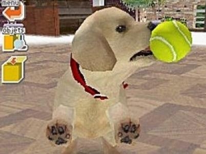 Nintendogs: Lab & Friends screenshot