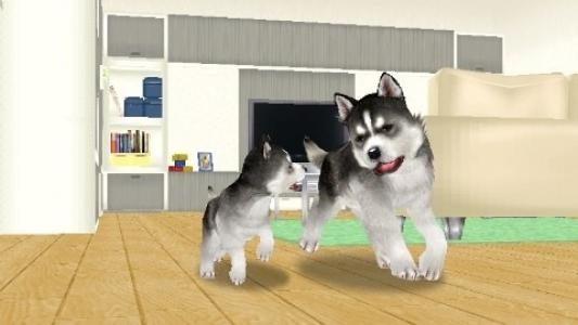 Petz: My Puppy Family screenshot