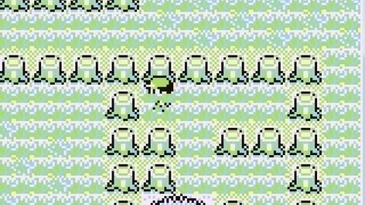 Pokémon Blue Kaizo screenshot