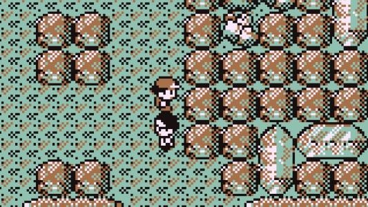 Pokémon Brown screenshot