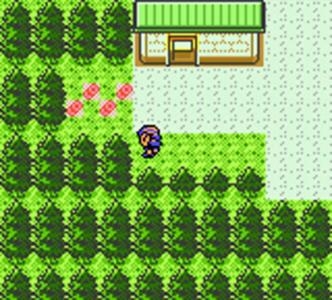 Pokémon Crystal Version screenshot