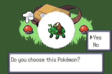 Pokémon Emerald Z screenshot