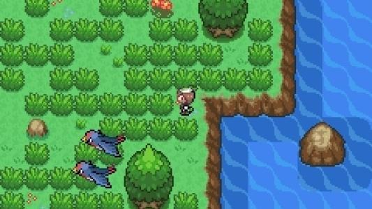 Pokemon Maxie's Island screenshot