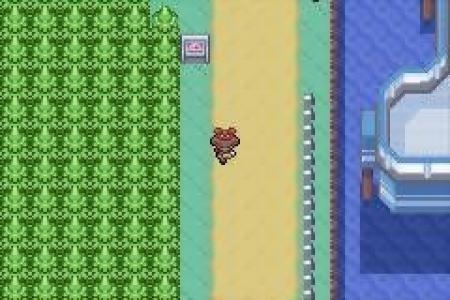 Pokémon Ruby Version screenshot