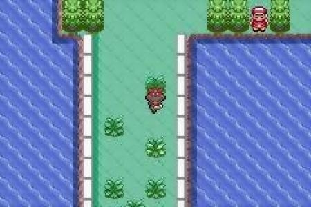 Pokémon Ruby Version screenshot