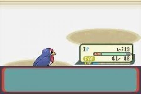 Pokémon Ruby Version screenshot