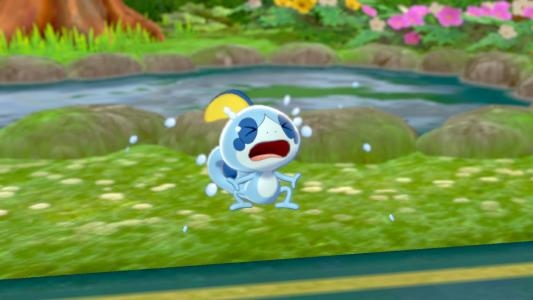 Pokémon Sword screenshot