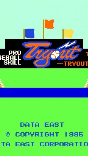 Pro Baseball Skill Tryout screenshot