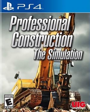 Professional Construction: The Simulation