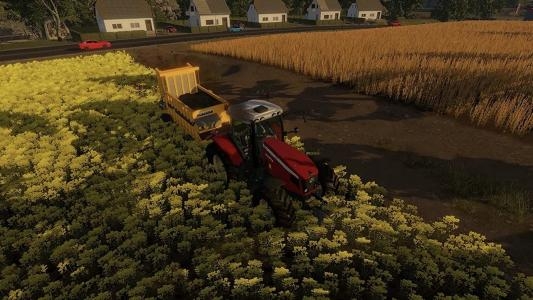 Real Farm - Deluxe Edition screenshot