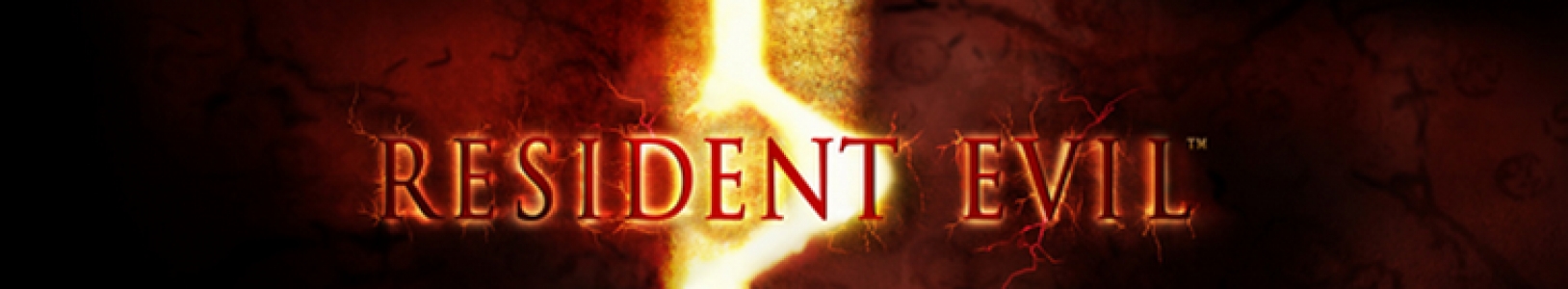 Resident Evil 5 banner