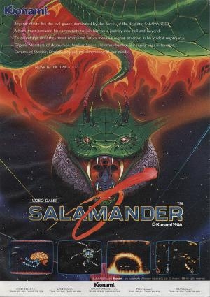 Salamander