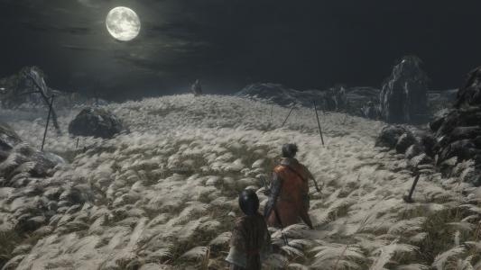 Sekiro: Shadows Die Twice [Collector's Edition] screenshot