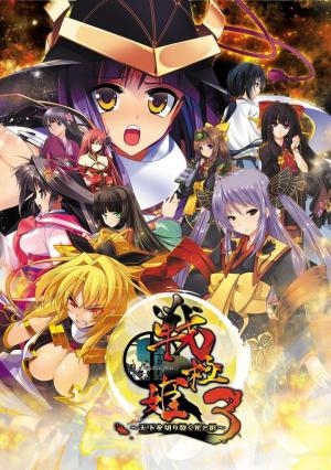 Sengoku Hime 3: Tenka o Kirisaku Hikari to Kage