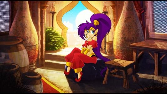 Shantae: Risky's Revenge - Director's Cut fanart