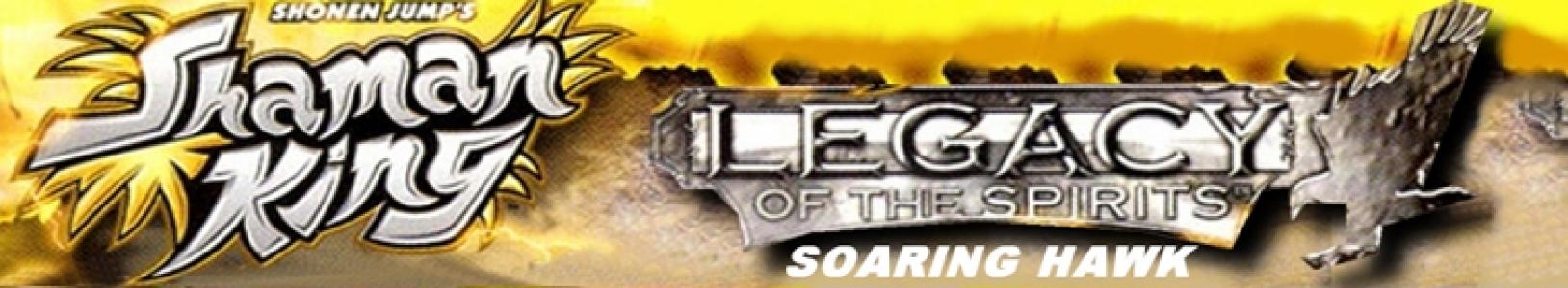 Shonen Jump's Shaman King: Legacy of the Spirits, Soaring Hawk banner
