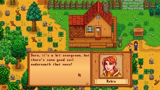 Stardew Valley [Collector's Edition] screenshot