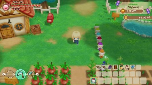 Story of Seasons Friends of Mineral Town screenshot