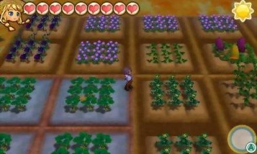 Story of Seasons: Trio of Towns screenshot