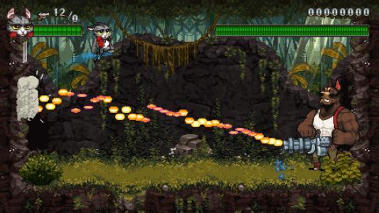 Super Catboy screenshot