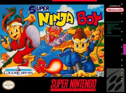 Super Ninja Boy