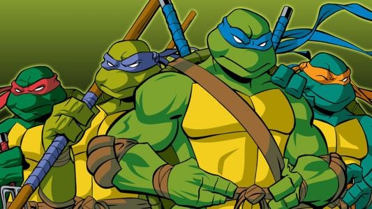 Teenage Mutant Ninja Turtles: Double Pack fanart