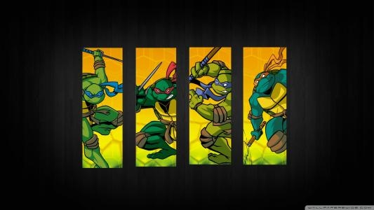 Teenage Mutant Ninja Turtles: Fall of the Foot Clan fanart