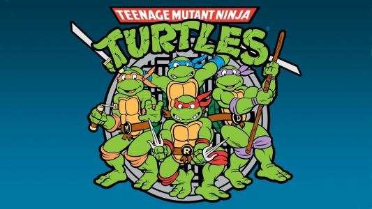 Teenage Mutant Ninja Turtles III: Radical Rescue fanart