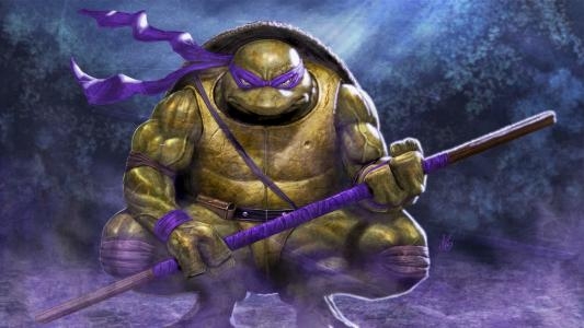 Teenage Mutant Ninja Turtles: Tournament Fighters fanart