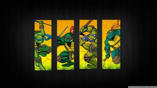 Teenage Mutant Ninja Turtles: Tournament Fighters fanart