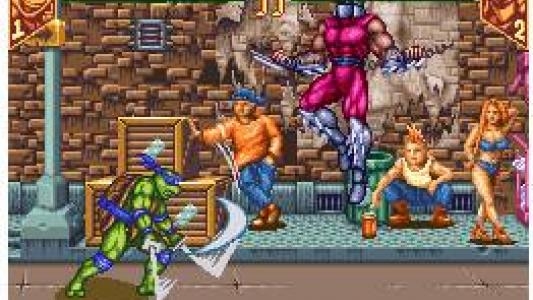 Teenage Mutant Ninja Turtles: Tournament Fighters screenshot