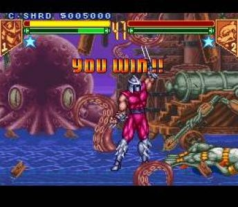 Teenage Mutant Ninja Turtles: Tournament Fighters screenshot