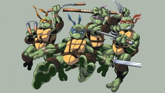 Teenage Mutant Ninja Turtles: Turtles In Time fanart