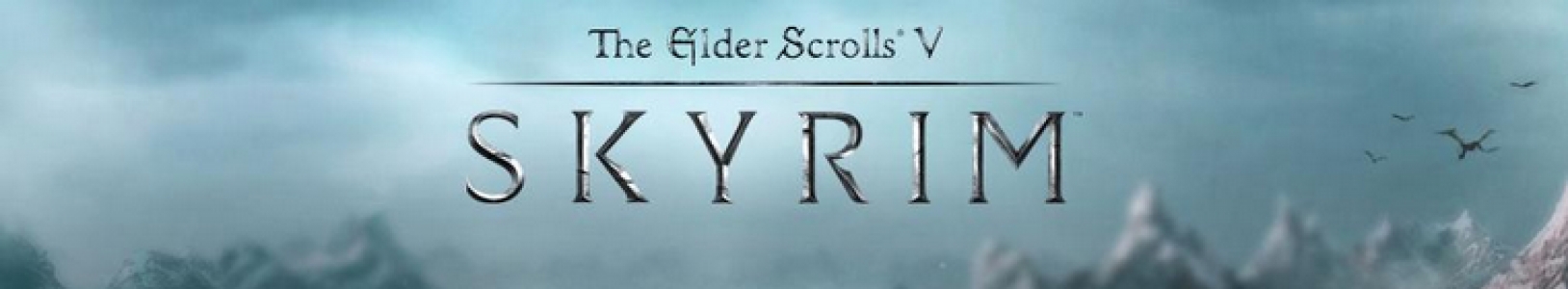 The Elder Scrolls V: Skyrim banner